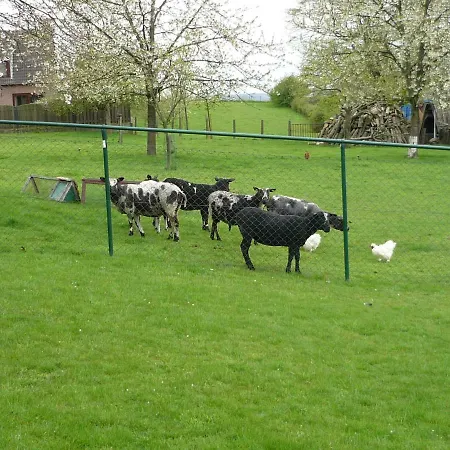 Hoeve Mingels Dom wakacyjny *