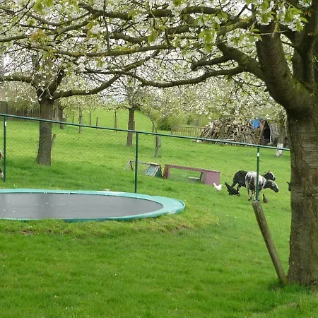 Hoeve Mingels Dom wakacyjny *