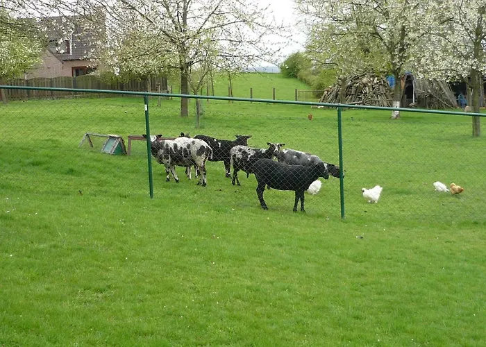 Hoeve Mingels Prázdninový dům *